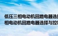 低压三相电动机回路电器选择与控制电路详解（关于低压三相电动机回路电器选择与控制电路详解的简介）