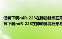 低氧下调miR-223在肺动脉高压形成中的作用及分子机制研究（关于低氧下调miR-223在肺动脉高压形成中的作用及分子机制研究的简介）