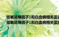 低氧诱导因子1和白血病相关蛋白AML1-ETO相互作用及其意义（关于低氧诱导因子1和白血病相关蛋白AML1-ETO相互作用及其意义的简介）