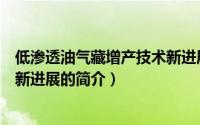 低渗透油气藏增产技术新进展（关于低渗透油气藏增产技术新进展的简介）