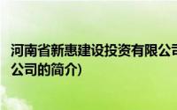 河南省新惠建设投资有限公司(关于河南省新惠建设投资有限公司的简介)