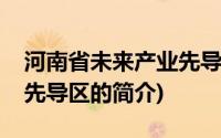 河南省未来产业先导区(关于河南省未来产业先导区的简介)