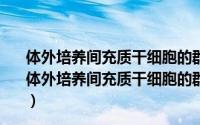 体外培养间充质干细胞的群体不均一性及其治疗意义（关于体外培养间充质干细胞的群体不均一性及其治疗意义的简介）