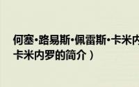 何塞·路易斯·佩雷斯·卡米内罗（关于何塞·路易斯·佩雷斯·卡米内罗的简介）