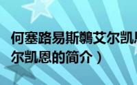 何塞路易斯鷷艾尔凯恩（关于何塞路易斯鷷艾尔凯恩的简介）