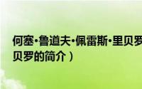 何塞·鲁道夫·佩雷斯·里贝罗（关于何塞·鲁道夫·佩雷斯·里贝罗的简介）