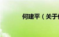 何建平（关于何建平的简介）