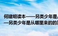 何建明读本——另类少年是从哪里来的（关于何建明读本——另类少年是从哪里来的的简介）