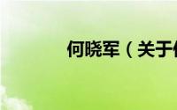 何晓军（关于何晓军的简介）