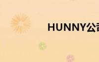 HUNNY公司（hunny）