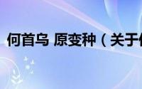 何首乌 原变种（关于何首乌 原变种的简介）