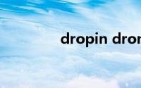 dropin drone（dropin）