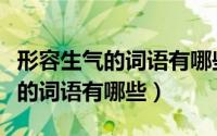 形容生气的词语有哪些二年级下册（形容生气的词语有哪些）