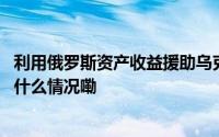 利用俄罗斯资产收益援助乌克兰？欧盟达成了初步协议 到底什么情况嘞