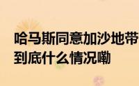 哈马斯同意加沙地带停火提议 草案内容曝光 到底什么情况嘞