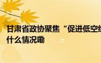 甘肃省政协聚焦“促进低空经济高质量发展”建言资政 到底什么情况嘞