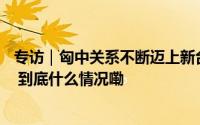 专访｜匈中关系不断迈上新台阶——访匈牙利前总理迈杰希 到底什么情况嘞