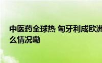 中医药全球热 匈牙利成欧洲中医药文化繁荣新地标 到底什么情况嘞