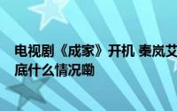 电视剧《成家》开机 秦岚艾伦首次搭档 轻喜设定引期待 到底什么情况嘞