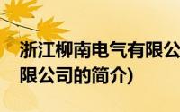 浙江柳南电气有限公司(关于浙江柳南电气有限公司的简介)