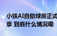 小铁AI自助球房正式发布,开启台球运动新篇章 到底什么情况嘞