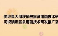 佛坪县大河坝镇宏鑫食用菌技术研发推广栽培专业协会（关于佛坪县大河坝镇宏鑫食用菌技术研发推广栽培专业协会的简介）