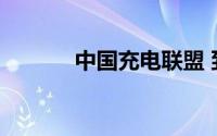 中国充电联盟 到底什么情况嘞