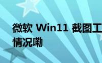 微软 Win11 截图工具隐藏新特性 到底什么情况嘞