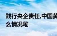 践行央企责任,中国黄金品筑美好未来 到底什么情况嘞