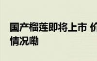 国产榴莲即将上市 价格会更低吗？ 到底什么情况嘞