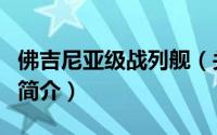 佛吉尼亚级战列舰（关于佛吉尼亚级战列舰的简介）