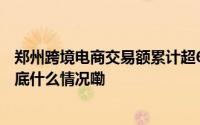 郑州跨境电商交易额累计超6000亿元 年均增长20%以上 到底什么情况嘞