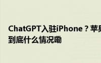 ChatGPT入驻iPhone？苹果被曝接近与OpenAI达成协议 到底什么情况嘞