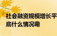 社会融资规模增长平稳 金融支持质效提升 到底什么情况嘞