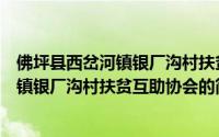 佛坪县西岔河镇银厂沟村扶贫互助协会（关于佛坪县西岔河镇银厂沟村扶贫互助协会的简介）