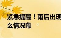 紧急提醒！雨后出现的它千万不能碰 到底什么情况嘞