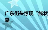 广东街头惊现“线状雨” 网友 到底什么情况嘞