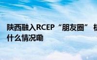 陕西融入RCEP“朋友圈” 机电产品、汽车成出海名片 到底什么情况嘞