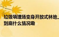 垃圾填埋场变身开放式林地上海这里如何历经整改焕新颜？ 到底什么情况嘞