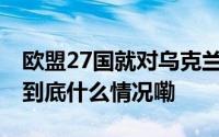 欧盟27国就对乌克兰安全承诺草案达成共识 到底什么情况嘞