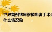 世界首例猪肾移植患者手术近两个月后去世死因未公布 到底什么情况嘞