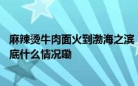 麻辣烫牛肉面火到渤海之滨　如意甘肃引客之旅双向奔赴 到底什么情况嘞