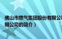 佛山市燃气集团股份有限公司（关于佛山市燃气集团股份有限公司的简介）