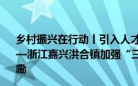 乡村振兴在行动丨引入人才“活水” 浇灌乡村“沃土”——浙江嘉兴洪合镇加强“三支队伍”建设掠影 到底什么情况嘞