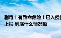 剧毒！有致命危险！已入侵我国12个省份有人被咬发现立即上报 到底什么情况嘞