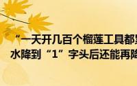 “一天开几百个榴莲工具都累了”！实地调查榴莲价格大跳水降到“1”字头后还能再降吗？ 到底什么情况嘞