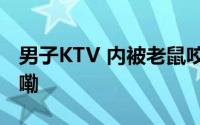 男子KTV 内被老鼠咬伤！店家 到底什么情况嘞