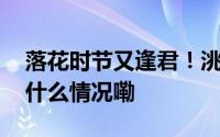 落花时节又逢君！洮河岸边的青葱年代 到底什么情况嘞