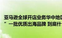 亚马逊全球开店业务华中地区首个办公室落地郑州 将培“豫”一批优质出海品牌 到底什么情况嘞