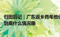 归田后记｜广东返乡青年他们相信“种粮一定能赚到钱”！ 到底什么情况嘞